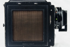 Arax 88