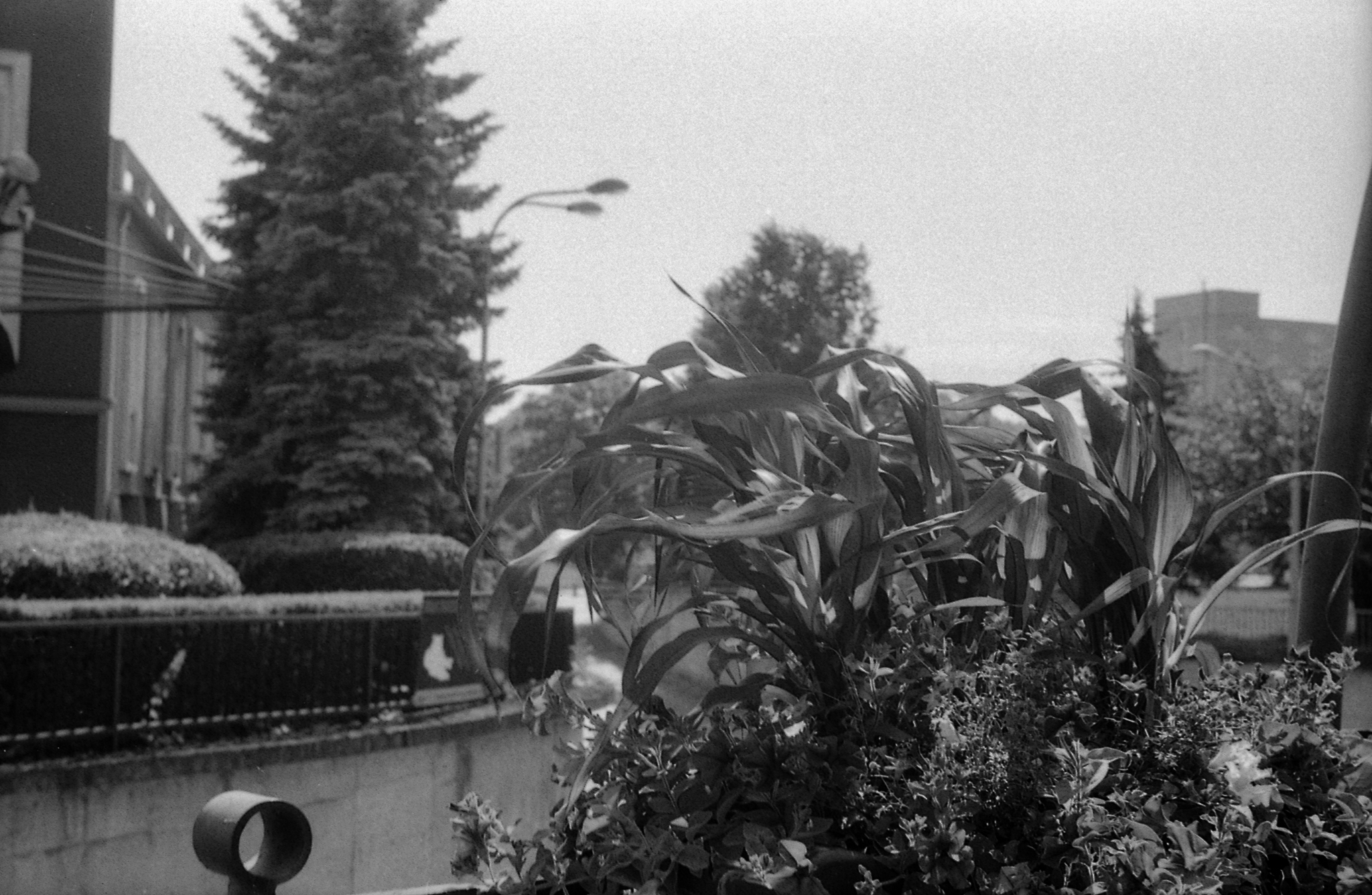 Praktica004 Praktica004