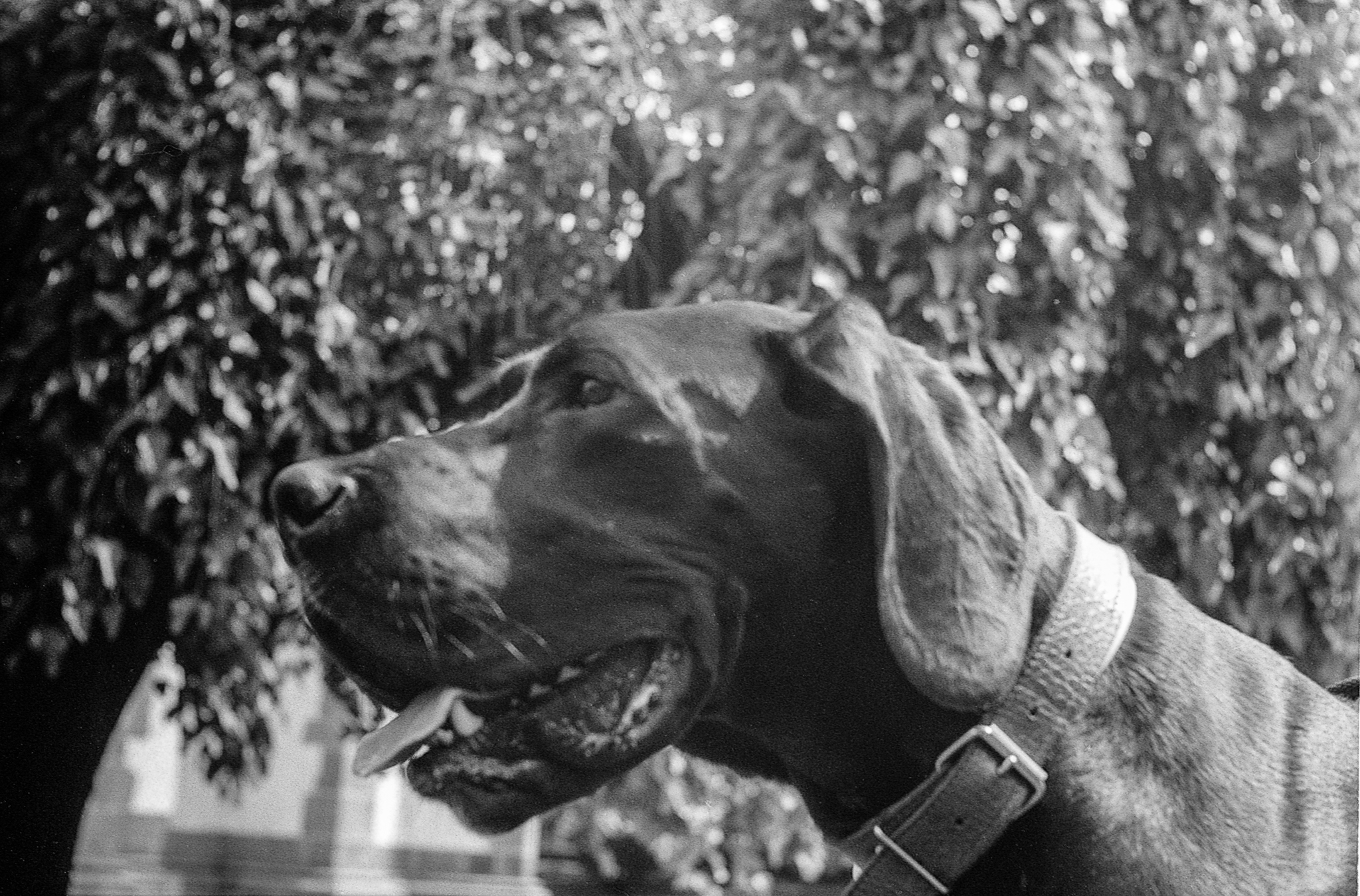 Praktica024 Praktica024