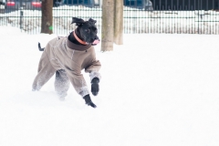 Dan in the snow