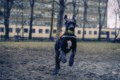 Dan with his ball