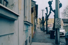 Street