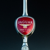 Jaguar Badge