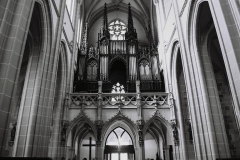 Organ Dom