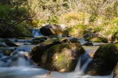 Tatra Water