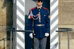 Guard