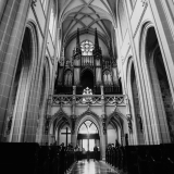 Organ Dom