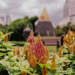 Pyramids