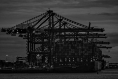 Cranes