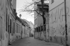 Alley