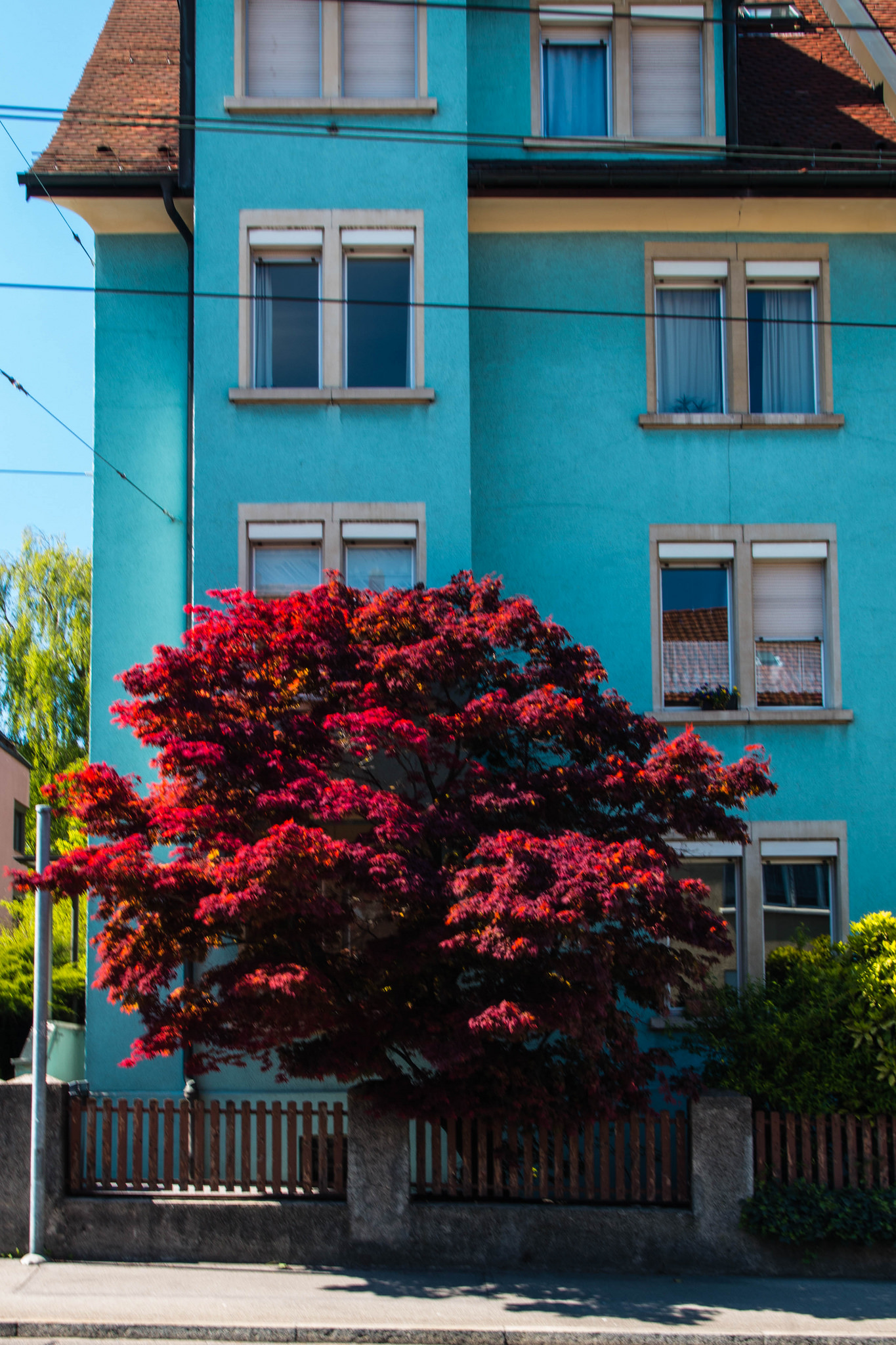 Urban Colours Urban Colours